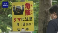 世界文化遺産「大森勝山遺跡」近くでクマ目撃 立ち入り禁止に