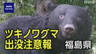 福島「ツキノワグマ出没注意報」県内全域に発令 対策呼びかけ