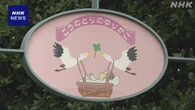 熊本 慈恵病院の「赤ちゃんポスト」昨年度14人が預けられる
