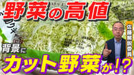 【解説】野菜の高値はなぜ続くのか? 今後はどうなる?