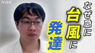 台風12号 熱帯低気圧が短時間で発達 背景や警戒点は【Q＆A】