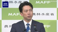 小泉農相 コメ流通の実態 すべての事業者に報告求める方針