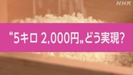【動画解説】随意契約でコメの価格はどうなる？
