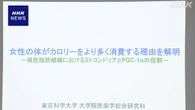 “男女のカロリー消費差” マウスの実験で解明 東京科学大など