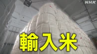主食用の政府輸入米 前倒しの入札で3万トンすべて落札