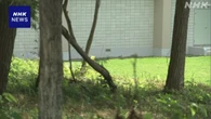 北海道 初山別村 中学校敷地にいたヒグマ 見つからず 警戒続く