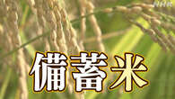 政府の備蓄米 一時的に市場に放出できるよう運用見直し 農水省