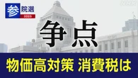 参院選 政党 政策アンケート 「消費税」