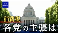 消費税の扱い 与野党の議論活発に 参院選にらみ発言相次ぐ