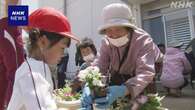 石川 珠洲 校庭で仮設住宅などの人と児童が一緒に花の寄せ植え