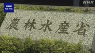 随意契約の備蓄米 来月以降も小売業者の販売認める方針固める