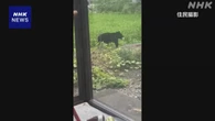 【動画】クマがメロンくわえて去る 岩手 矢巾町の住宅