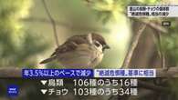 里山の鳥が急減 スズメなど16種が絶滅危惧種に 環境省など調査