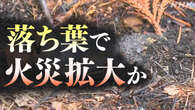 岩手 大船渡の山林火災 専門家が調査 “落ち葉で火災拡大か”