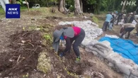 日本人戦没者の遺骨 ペリリュー島で今年度の収集作業始まる