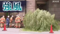 強風影響 各地で相次ぐ 日本橋で街路樹倒れ 京都でカヌー転覆