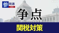 参院選 政党 政策アンケート 「関税対策」