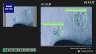 足跡やふんなどの画像から動物を推定するAIモデル開発