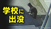学校周辺でクマ出没相次ぐ 子どもたちを守るには【QAも】