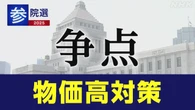 参院選 政党 政策アンケート「物価高対策」