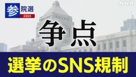 参院選 政党 政策アンケート 「選挙のSNS規制」