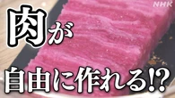 “肉を家庭で作る未来”「培養肉」大阪・関西万博で展示