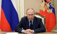 Putin bottles it after Crimea strike: Russia backed into corner as oil flows in Ukraine