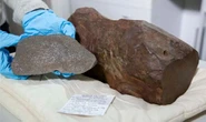 Man keeps hold of rock he hoped was gold - discovered it was far more valuable