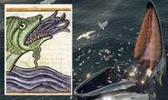 Mystery of ancient ‘sea monsters’ solved as accounts linked to whale feeding trick