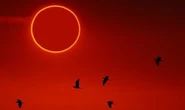 Solar Eclipse 2021: How to watch the beautiful Ring of Fire eclipse on June 10