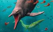 Origin of marine reptiles pushed back by discovery of oldest-known ichthyosaur