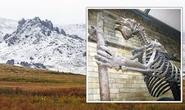 Archaeologists stunned by 'massive' animals early humans may have encountered in America