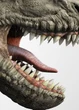 Science breakthrough after dinosaur discovery 'completely changes perception' of reptiles