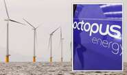 Octopus Energy throws UK lifeline as wind farm powering 500,000 homes gets £400m boost