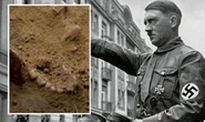Archaeology: Mass grave uncovered that remained Nazi secret since Holocaust