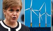 Sturgeon's Indyref dreams shattered as green energy plan scuppered by 'creaking' red tape