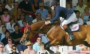 Olympic champion horse 'brought back to life' as DNA cloned to create identical foal