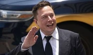 Elon Musk vows to 'solve world hunger' with £4.5bn Tesla pledge: 'I'll do it right now'