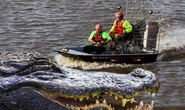 Hurricane Ida: Louisiana warned alligators lurking in floodwater as man's arm bitten off