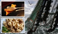 Fishing outrage! Brits told to avoid calamari and cod as UK waters face 'worrying future'