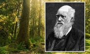 Charles Darwin's 150-year-old note could help scientists save world from climate crisis
