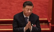 Xi comes to Putin's rescue with solution to avoid EU's 'ridiculous' coal sanctions
