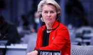 EU must be joking! VDL shamed for 31 mile private jet flight while hailing climate deal
