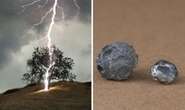 Strange material only ever found in space discovered after lightning bolt struck tree