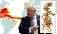 UK's hidden goldmine of SEAWEED to invigorate Brexit Britain's economy and slash emissions