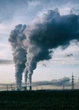 Carbon neutral map: Only TWO countries have hit net zero - but who?