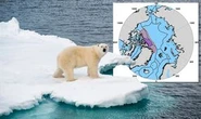 Arctic Ocean's 'last ice area' may not survive century as EU eyes up slice of Grenland