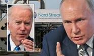 Biden comes to EU's rescue and sends gas prices plummeting by outmanoeuvring Putin