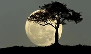 What time is the Full Moon tonight? Don't miss the last Supermoon of the year