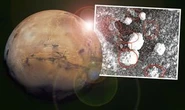 Life on Mars: 'Worms' and 'shrimps' spotted in scientist's bizarre study of Red Planet